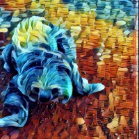 Andres Leonardo Becerra Lopez's profile picture