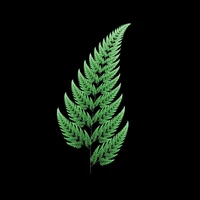 Daniel Flores Araiza's profile picture