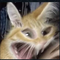 franccescogiordano's profile picture