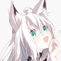 saltacc's profile picture