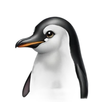 Owais Sadiqque Dayderh's profile picture