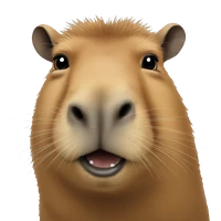 Tong Liu's profile picture