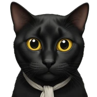 Maria Startseva's profile picture