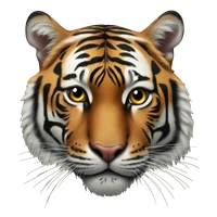 Songlin Wei's profile picture