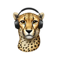 Dimitri's profile picture