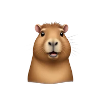 Ricardo V Bassanesi's profile picture