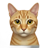 Miruna Doamna's profile picture