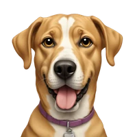 Kodi Taraszka's profile picture