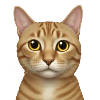 Haokun Lin's profile picture