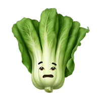 Matthew's profile picture