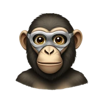 Jiachen Yu's profile picture