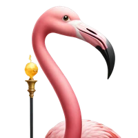 Shilin Xu's profile picture