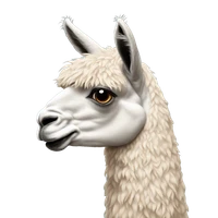 Déborah Boyenval's profile picture