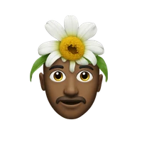 Florian Zumbrunn's profile picture