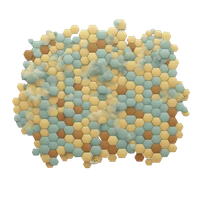 Benjamin Kurt Miller's profile picture