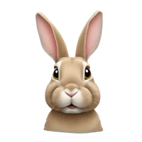 Axel Farrugia's profile picture