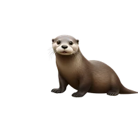 Louis's profile picture