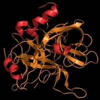 Richard Zhu's profile picture