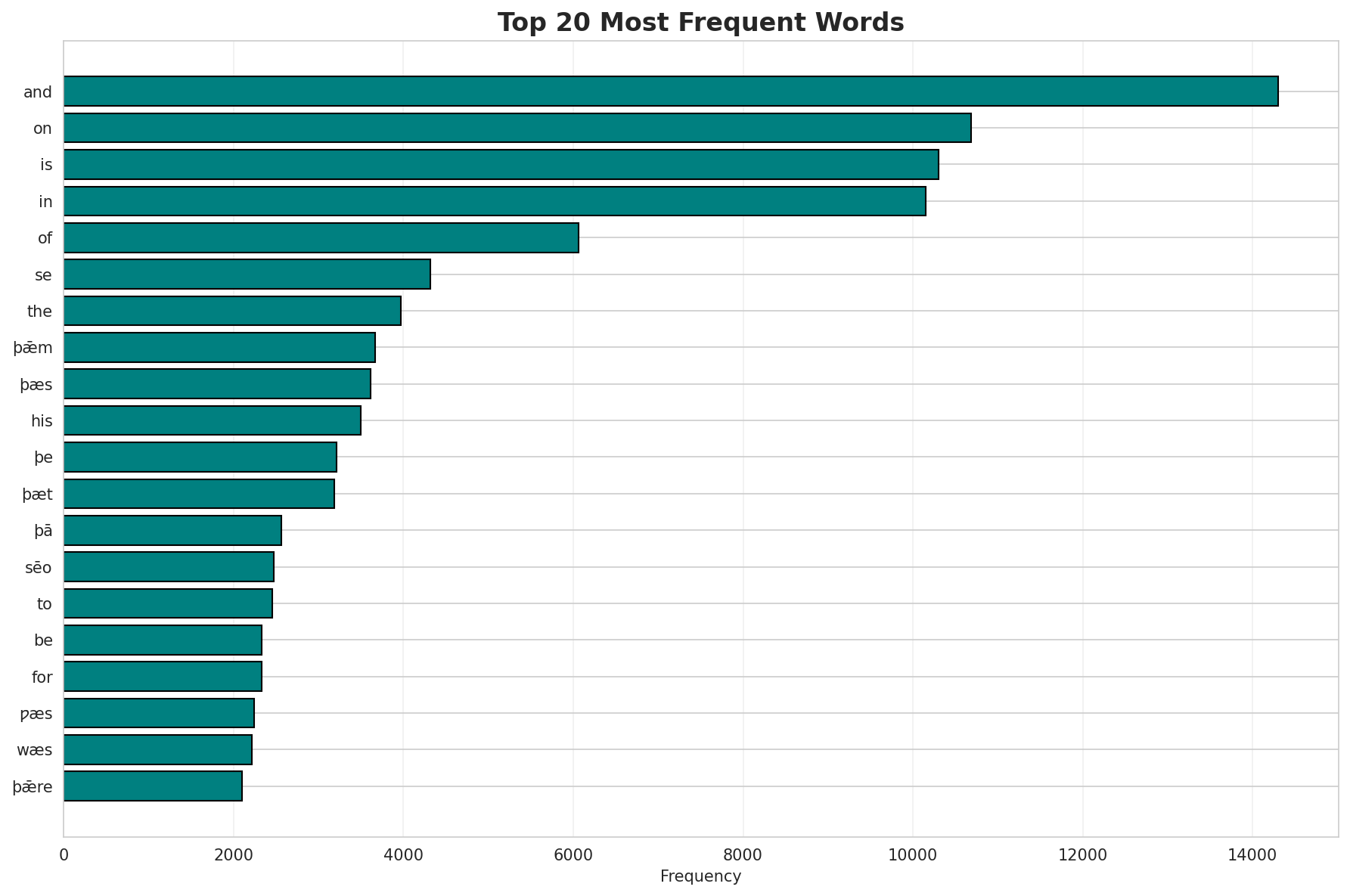 Top Words